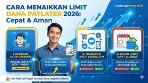 Menaikkan Limit DANA PayLater