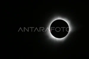 Gerhana Matahari Total: Pengalaman Eksklusif Astronaut Artemis II