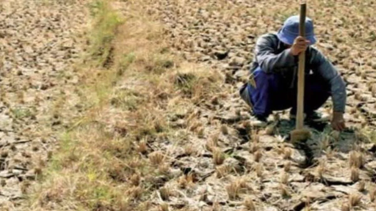 Godzilla El Nino Intai Indonesia: BMKG Prediksi Kemarau 2026