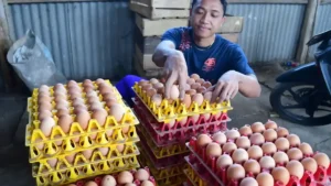 Harga Pangan Terbaru: Ayam & Cabai Rawit Meroket!