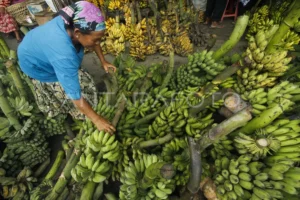 Harga Plastik Naik? Pramono Anjurkan Daun Pisang!
