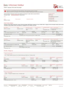 Kebijakan Khusus SLIK Rumah Subsidi Akan Diterbitkan OJK