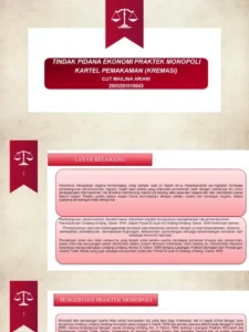 Perppu Tindak Pidana Ekonomi Batal Terbit, Ini Penjelasan Pemerintah