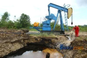 PNBP SDA Tembus Rp 53,6 Triliun: Intip Peluang Ekonomi 2026