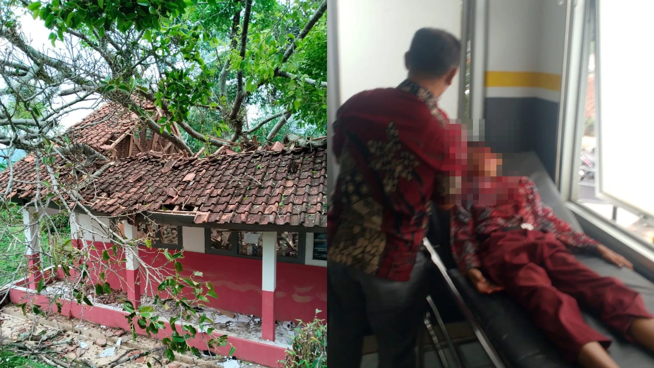 Pohon Tumbang Timpa SDN Cianjur, 6 Siswa Jadi Korban