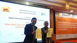 Sertifikasi Sawit Dipercepat: Target Pasar Global 2026