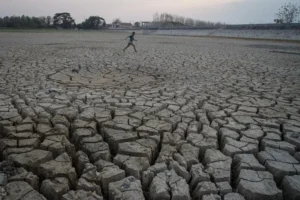 Waspada DBD Jakarta 2026: Rano Karno Ingatkan Dampak El Nino